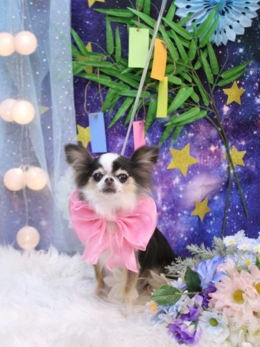 20250711ひめちゃん